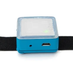 New High Intensity Interval Training HIIT Band Ict|Dance & Movement