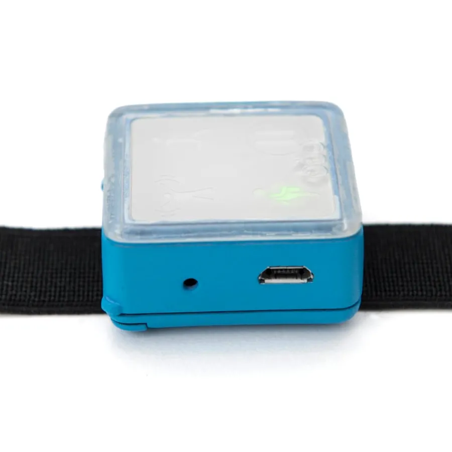 New High Intensity Interval Training HIIT Band Ict|Dance & Movement