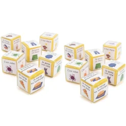 Sale Mini Foam Dice French|Eal Resources