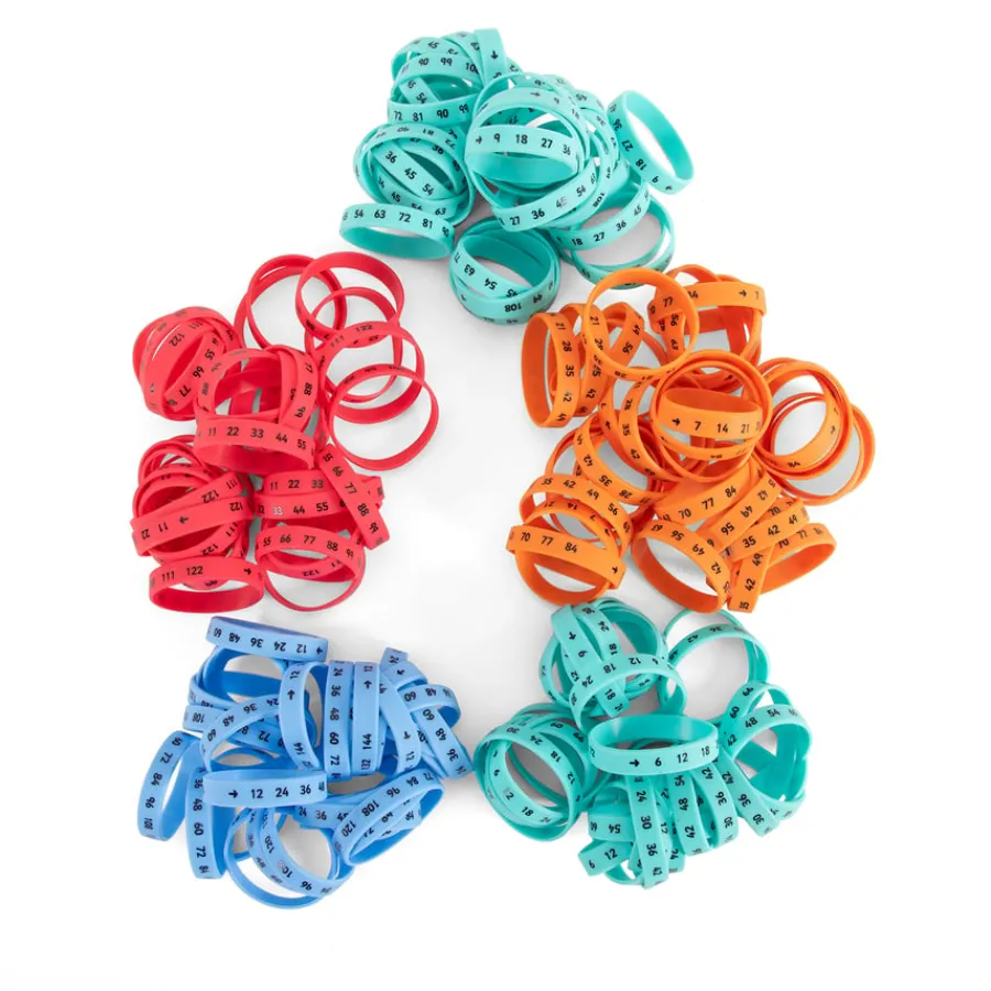 Best Multiplication Wristbands Multiplication & Division