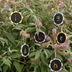 Outdoor Eco Chalkboard Flower Assorted Playground Pack Outdoor Art|Outdoor Art