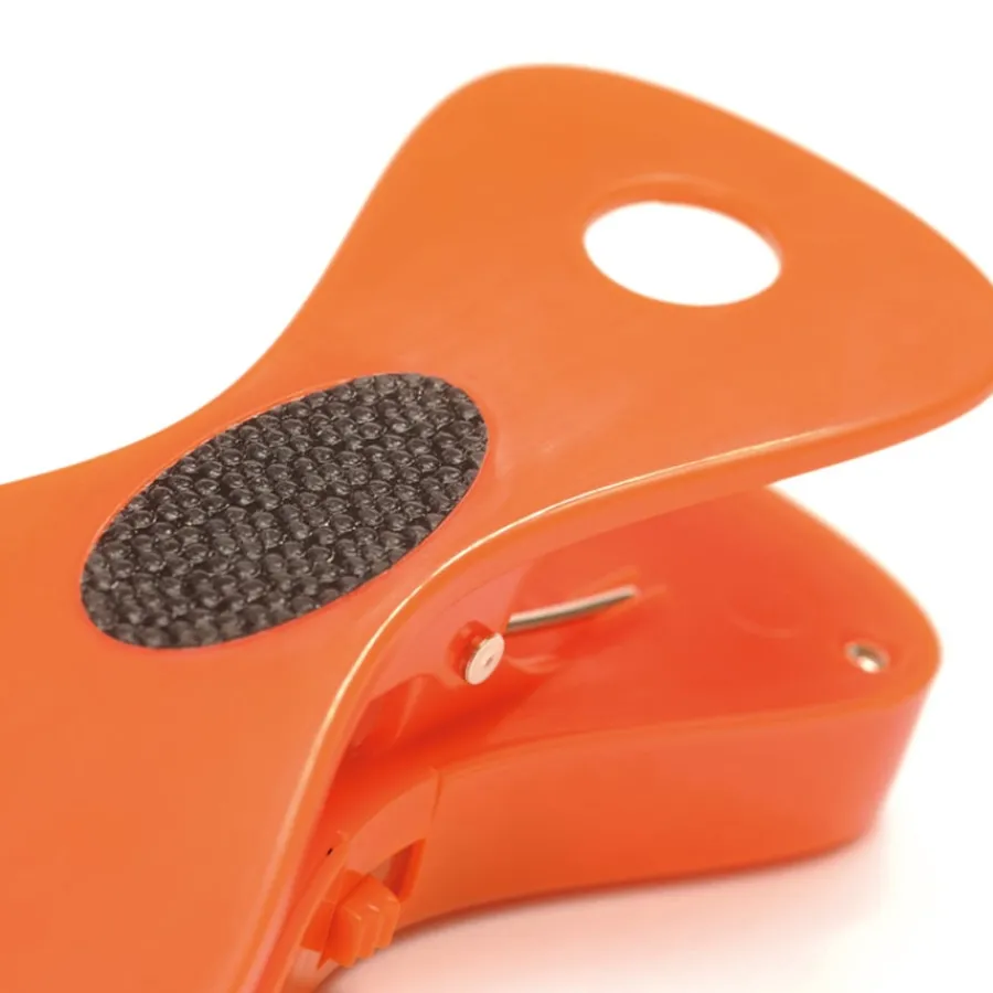 Recordable Talking Pegs Recording & Assessment|Eal Resources