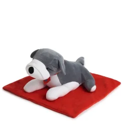New Weighted Lap Buddies and Blanket Calming & Fidgets|Wellbeing Kits
