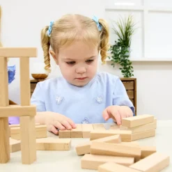 Best Wooden Building Bricks Building Bricks & Blocks