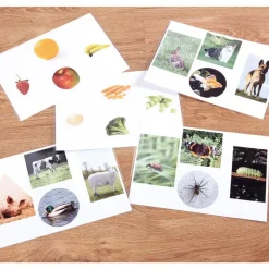 Best Wooden Jigsaw Explorer Image Board Shop The Full Range|Games