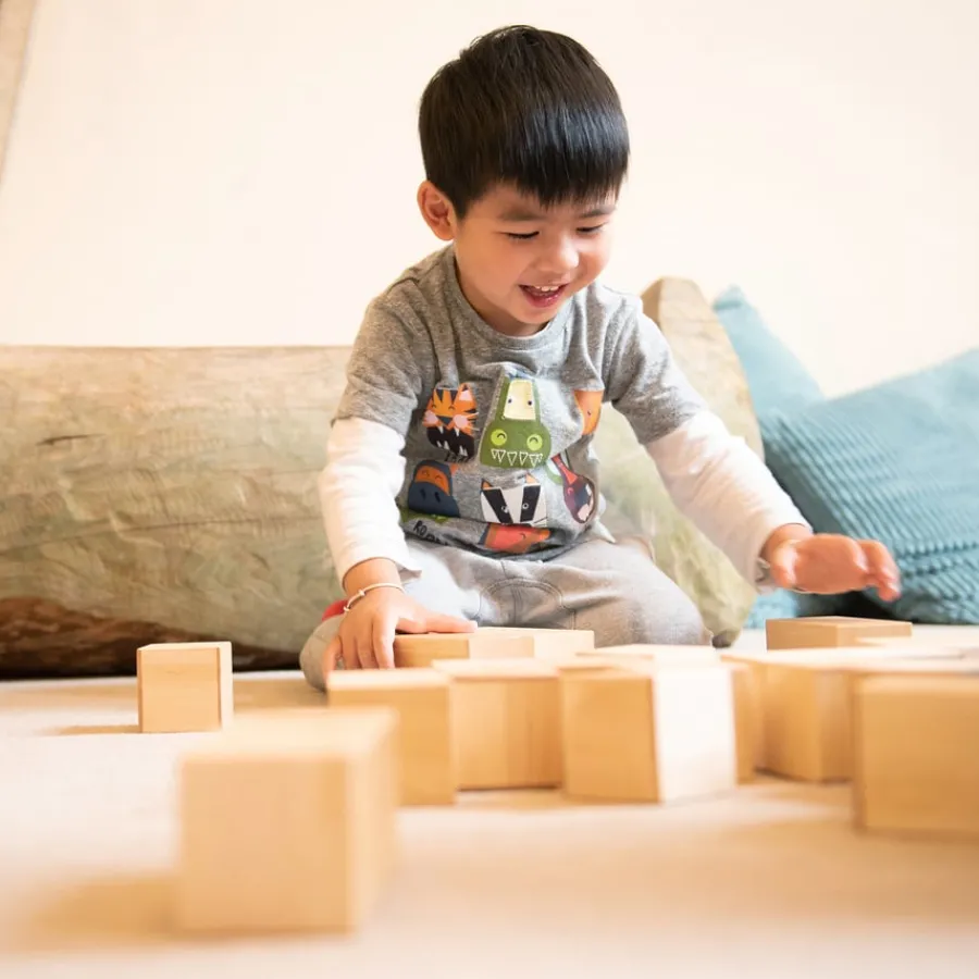 Hot Wooden Magnetic Construction Blocks Shop The Full Range|Construction Sets