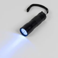 Clearance UV LED Torch Light Up Learning|Canopies