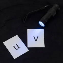 Clearance UV LED Torch Light Up Learning|Canopies