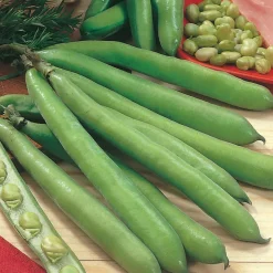 Clearance Vegetable Seed Collection Composting, Soil, Seeds And Potting|Plants & Growing