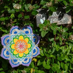 Wellbeing and Calmness Pack with Notes Wellbeing Kits|Psed