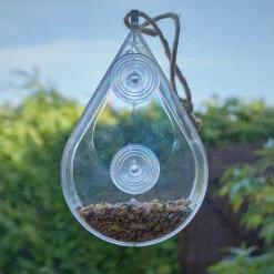 Clearance Window Bird Feeder Science|Habitats And Observation