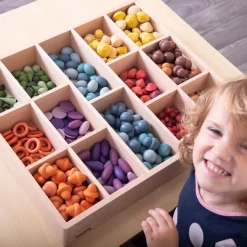 New Wooden Sorting Tray Loose Parts|Sorting & Classification