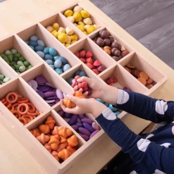 New Wooden Sorting Tray Loose Parts|Sorting & Classification